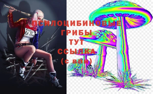 молекула духа Алзамай