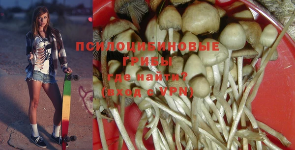 первитин Алексеевка